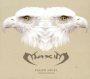 Fallen Angel - Maxim 