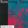 Clairvoyance - Screaming Trees