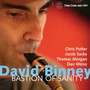 Bastion Of Sanity - David Binney