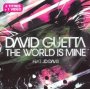 The World Is Mine - David Guetta