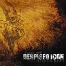 The Healing Process - Despised Icon
