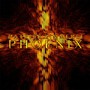 Phoenix - Patrick Zimmerli
