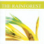 Rainforest - Sounds Of Nature