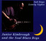 Sad Days, Lonely Nights - Junior Kimbrough