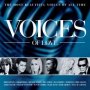 Voices Of Love - V/A