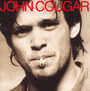 John Cougar - John 'cougar' Mellencamp 