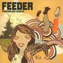 Pushing The Senses - Feeder