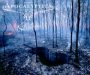 Life Burns feat. Lauri Ylonen - Apocalyptica