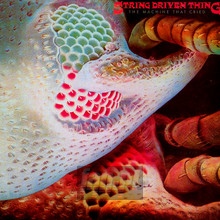 The Machine That Cried - String Driven Thing