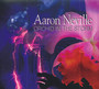 Orchid In The Storm - Aaron Neville