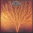 Still Life - Van Der Graaf Generator