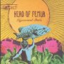 Hysterical Stars - Head Of Femur