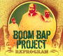Reprogram - Boom Bap Project