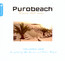 Purobeach 1 : Ben Sowton / Fabian Wetzel - Purobeach    [V/A]