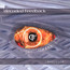 Combustion - Decoded Feedback