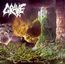 Into The Grave - Grave Into The Grave - Grave