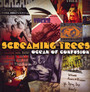 Ocean Of Confusion: Songs Of 1989-1996 [Best Of] - Screaming Trees