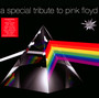 A Special Tribute To Pink - Tribute to Pink Floyd