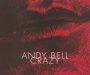 Crazy - Andy Bell