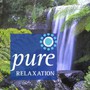 Pure Relaxation - Llewellyn