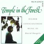 Temple In The Forest - David Naegele