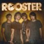Rooster - The Rooster