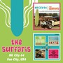 2on1: Hit City 64/Fun City, Us - The Surfaris