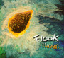 Haven - Flook