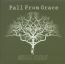 Fall From Grace - Third Dan