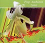 Pop Ambient 2006 - Pop Ambient   