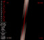 First Impressions Of Earth - The Strokes First Impressions Of Earth - The Strokes