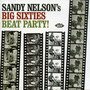 Sandy Nelson's Big Sixties - Sandy Nelson