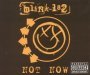 Not Now - Blink 182