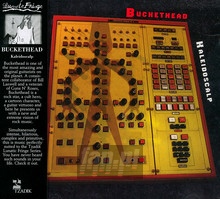 Kaleidoscalp - Buckethead - bigger Kaleidoscalp - Buckethead