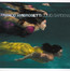 Liquid Gardens - Franco Ambrosetti Liquid Gardens - Franco Ambrosetti