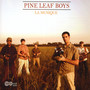 Musique - Pine Leaf Boys
