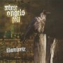 Illuminate - Where Angels Fall