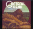 Wake Of The Flood - Grateful Dead