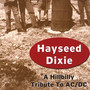 A Hillbilly Tribute To AC - Hayseed Dixie