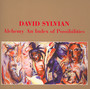 Alchemy-An Indes Of Possibilities - David Sylvian