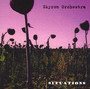 Situations - Skyron Orchestra