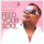 Feed Your Soul: Remixed - Incognito