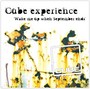 Wake Me Up When September - Cube Experience