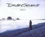 Smile - David Gilmour