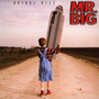 Actual Size - MR. Big