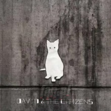 Are You In My Blood - David & The Citizens