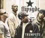 Trumpets-Never Been The Same Again - Flipsyde