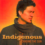 Chasing The Sun - Indidenous