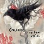 Garden Ruin - Calexico