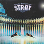 Saturday Morning Pictures - Stray   
